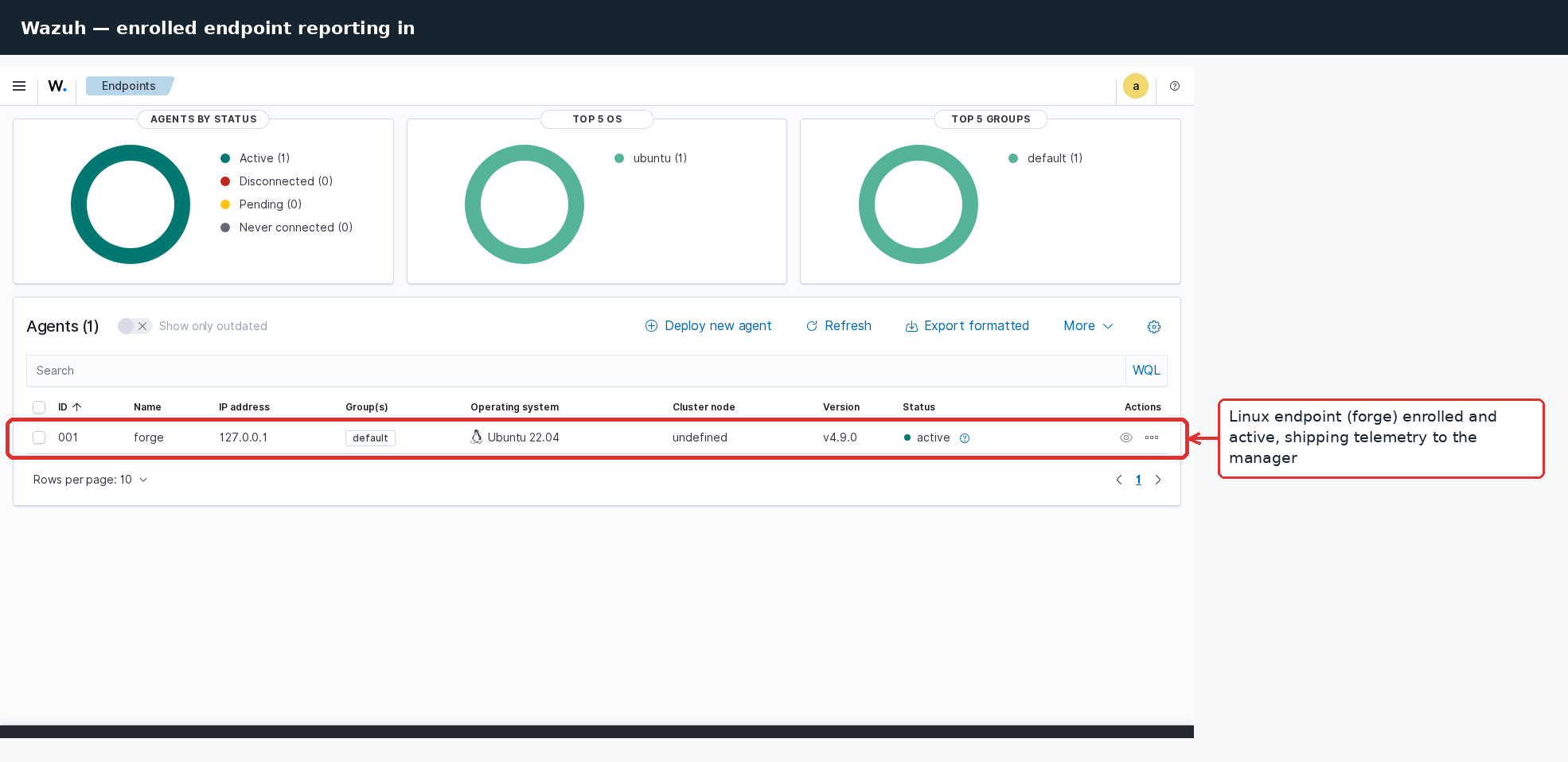 The enrolled Linux endpoint (forge, Ubuntu 22.04) active and shipping telemetry to the Wazuh manager.